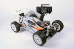 Buggy "AM8E" Brushless M 1:8